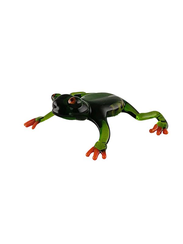 Rotaugenlaubfrosch grün