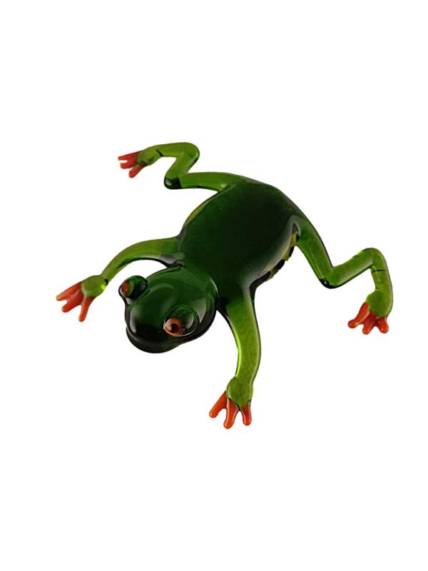 Rotaugenlaubfrosch grün