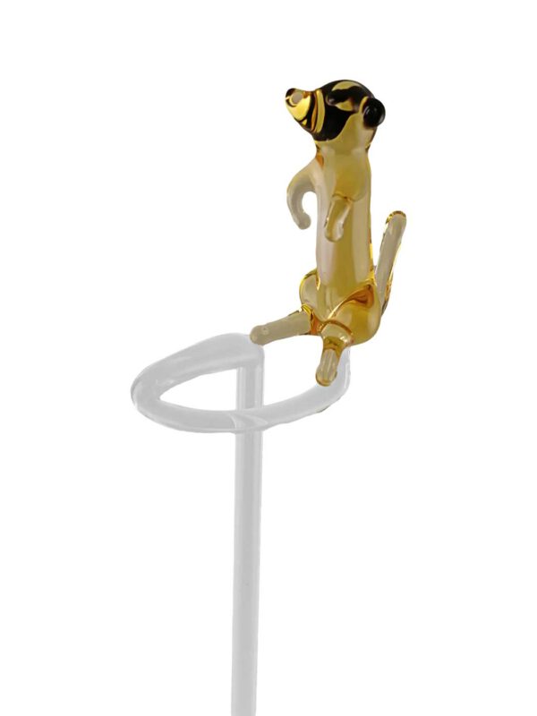 Orchideenstab Erdmännchen