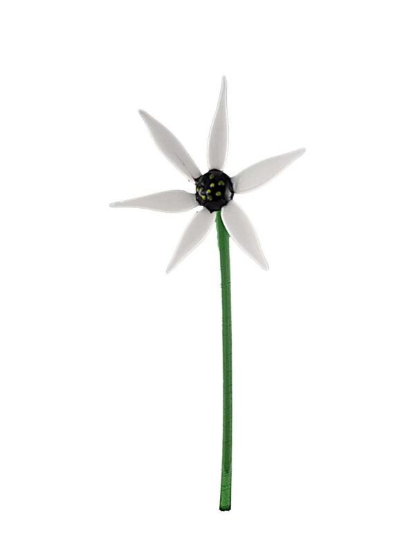 Blume weiß
