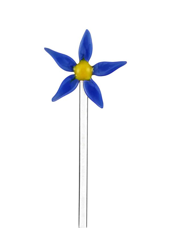 Fruchtspieß Blaustern