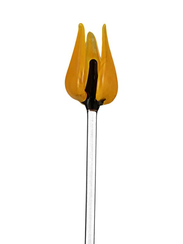 Fruchtspieß Tulpe