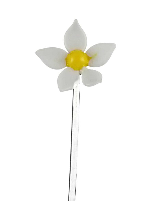 Fruchtspieß Christrose
