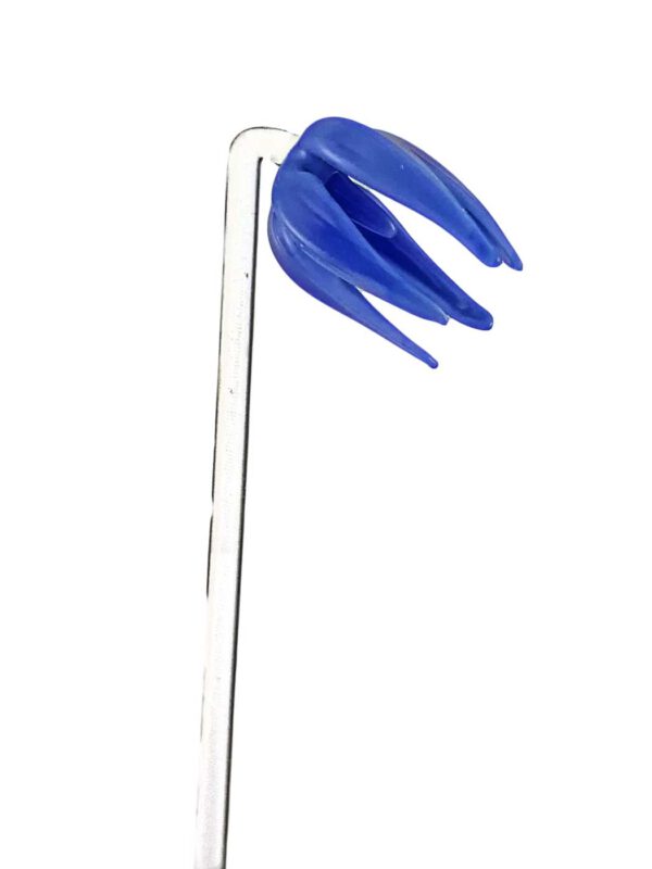 Fruchtspieß Glockenblume