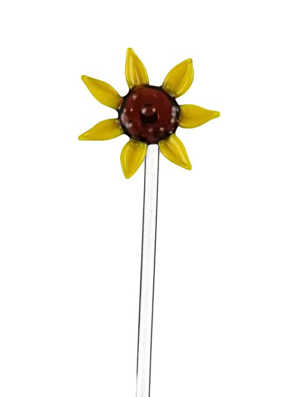 Fruchtspieß Sonnenblume