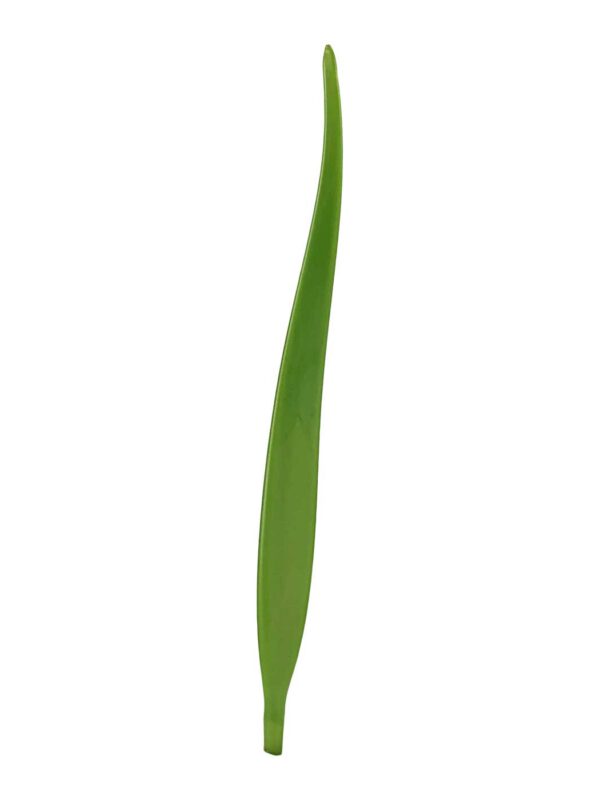 Blatt grün