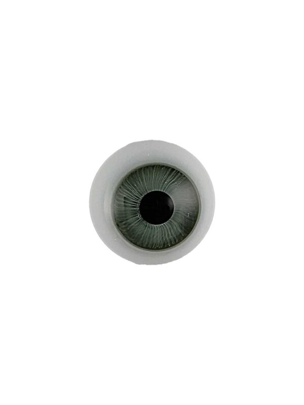 Auge grün mit Magnet