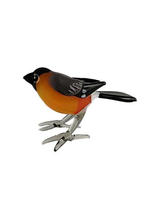 Glasvogel Dompfaff stehend