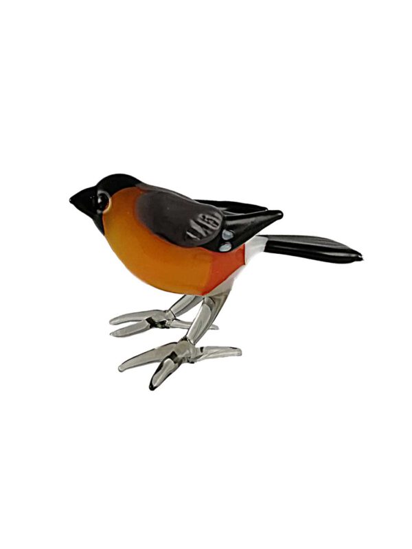 Glasvogel Dompfaff stehend