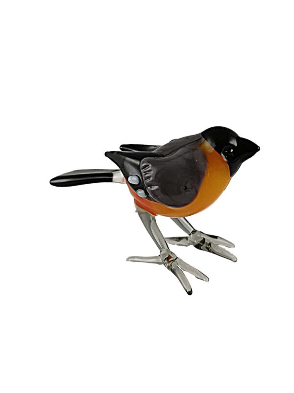 Glasvogel Dompfaff stehend