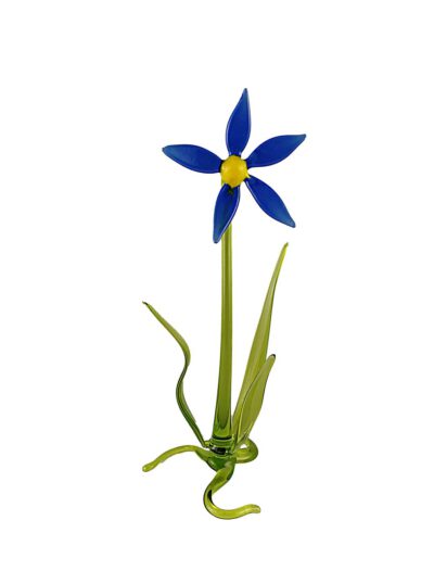 Blume Blaustern stehend