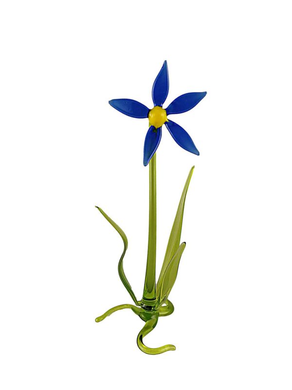 Blume Blaustern stehend