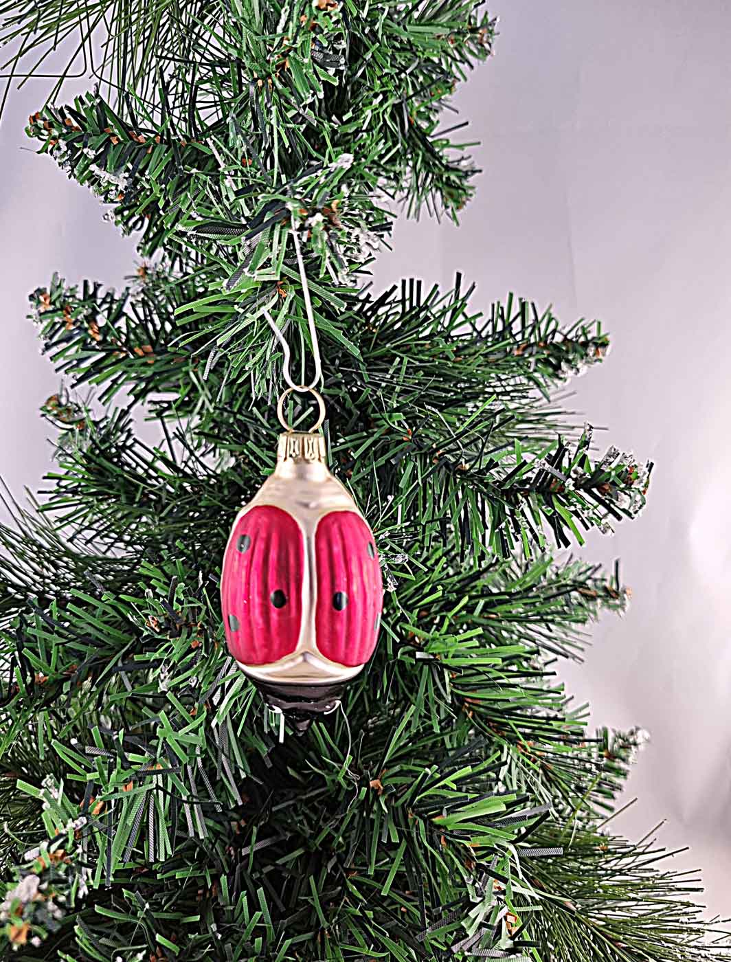 16-164-glasfoermchen-kaefer Glasförmchen Käfer